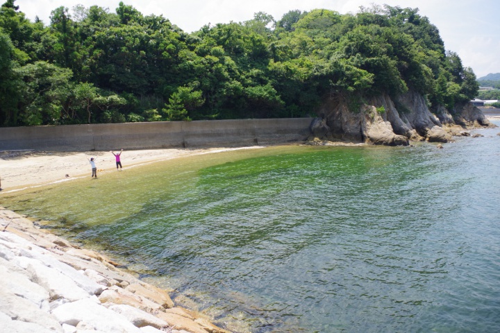 瀬戸内海観光ガイドツアー