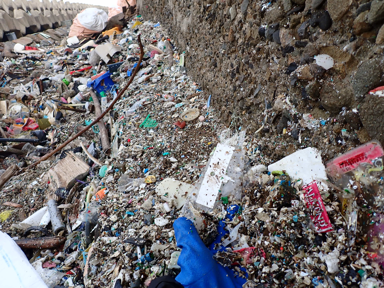 マイクロプラスチック 海ごみホットスポットクリーンアップ 香川