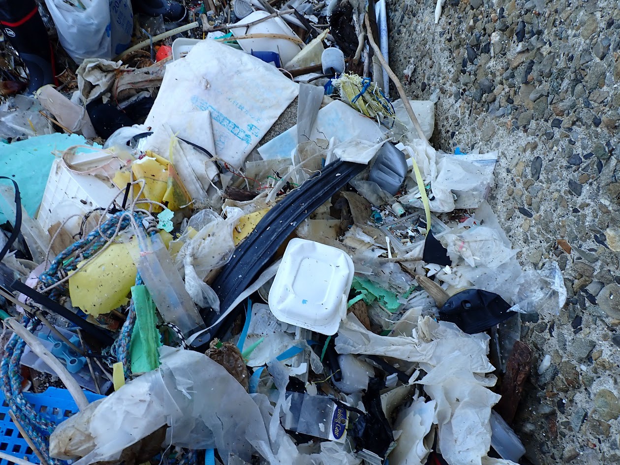 使い捨てプラスチック 海ごみ