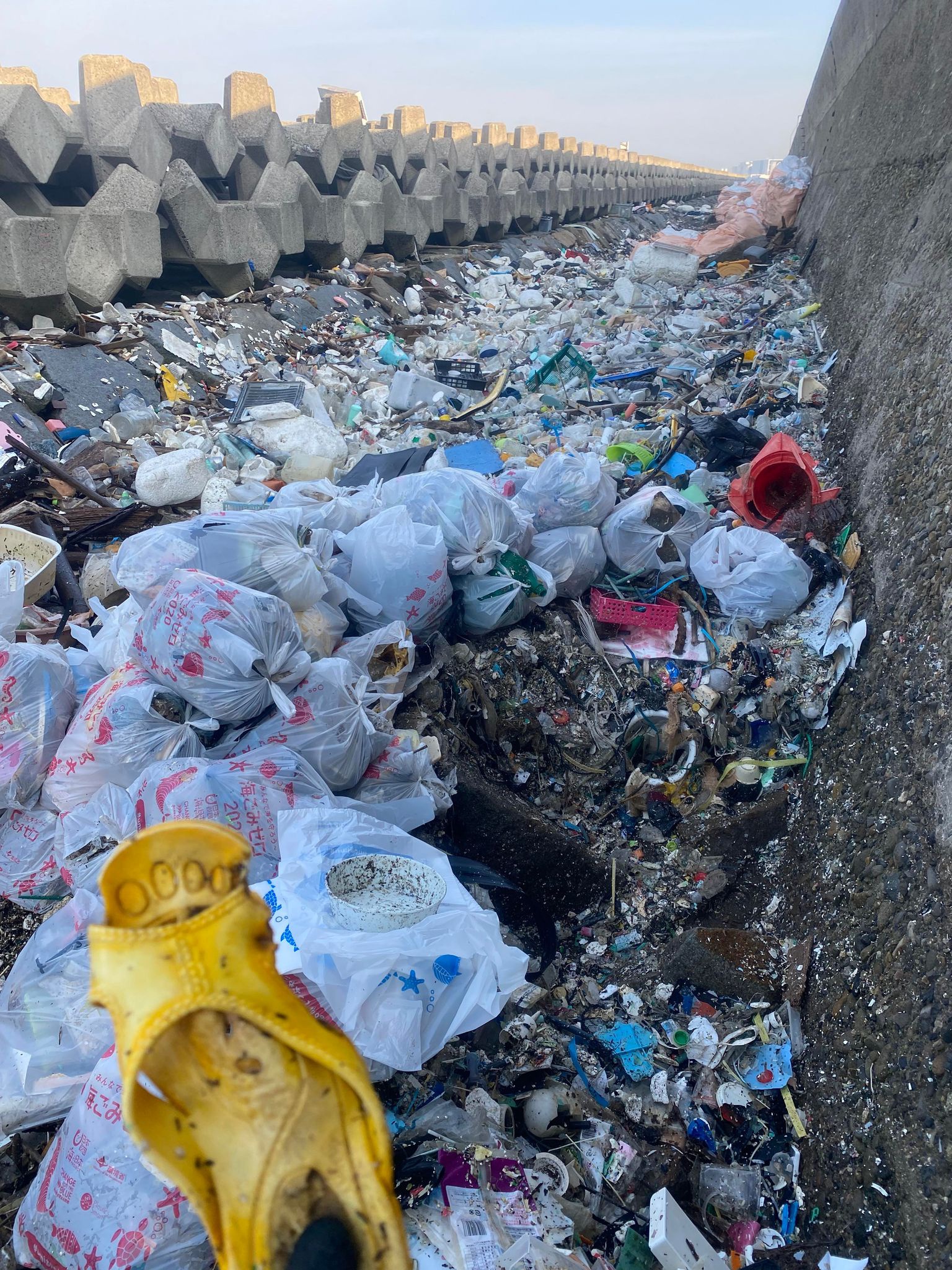 マイクロプラスチック 海ごみホットスポットクリーンアップ かがわガイド協会