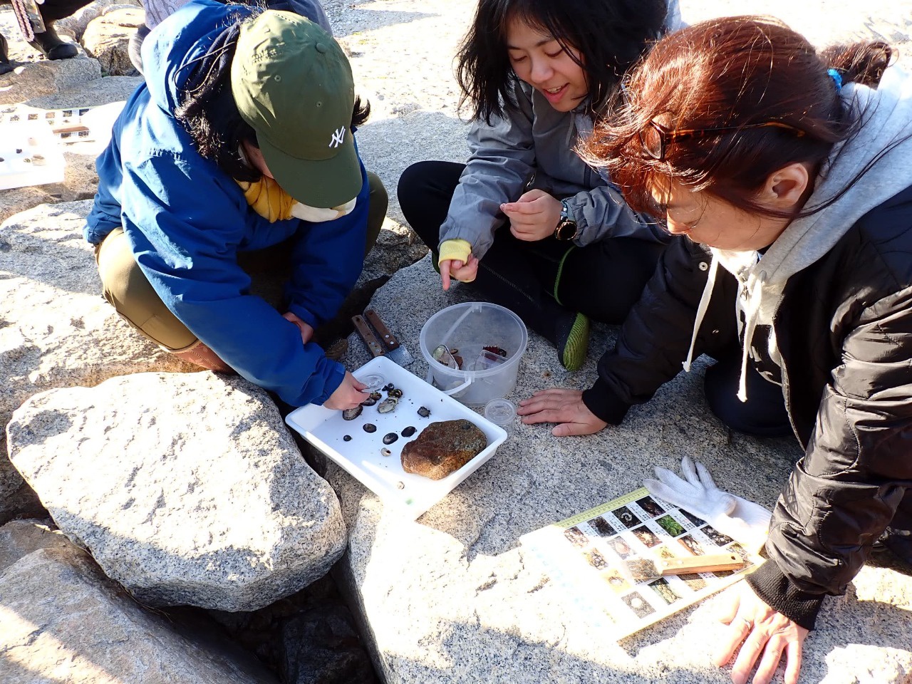 自然に触れながら楽しく学ぶ企業研修